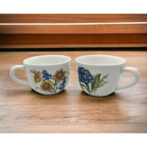 NORITAKE  Gourmet Garden Coffee Or Tea Cups Set of 2 Floral